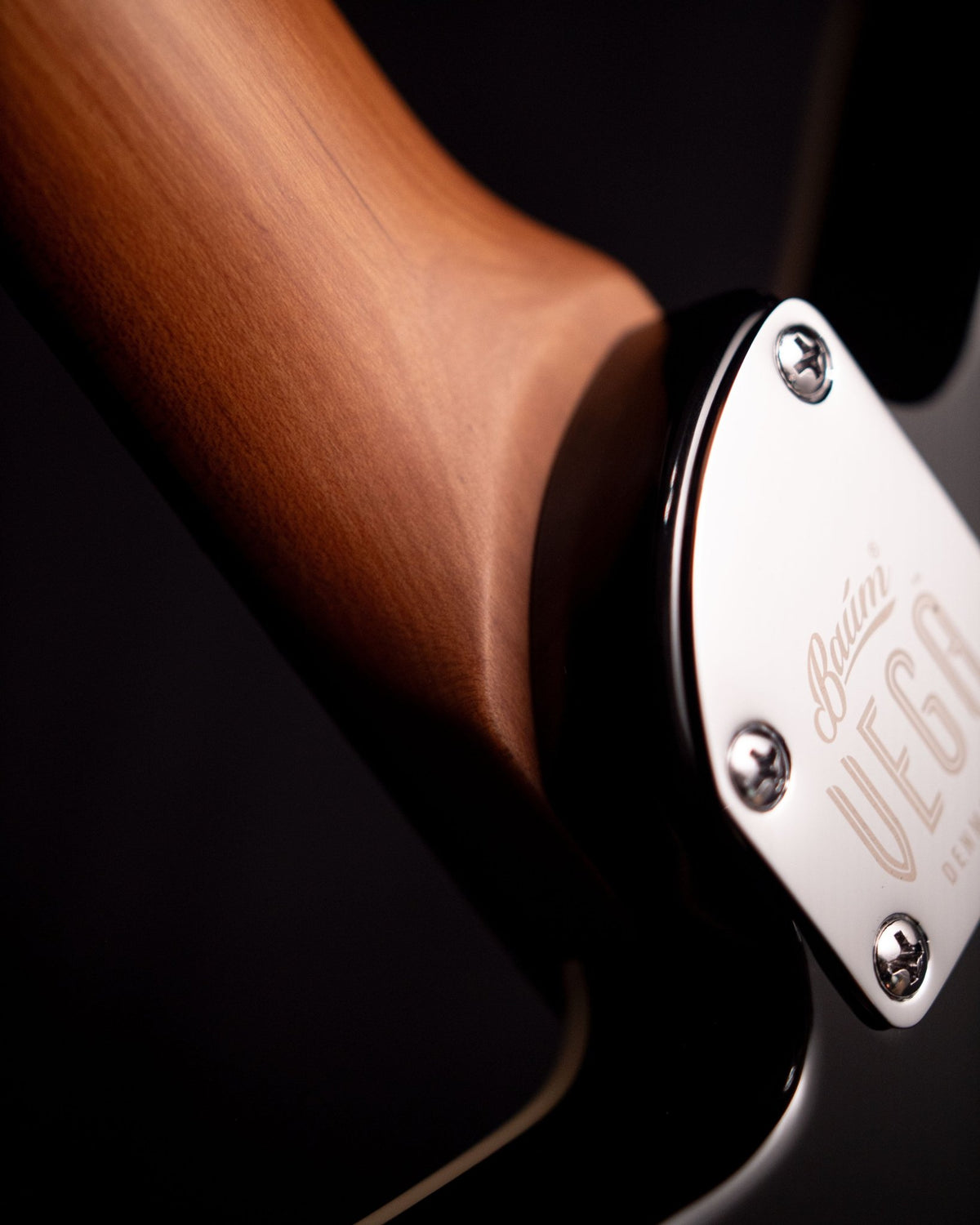 Revolt - Moon Silver - Baum Guitars